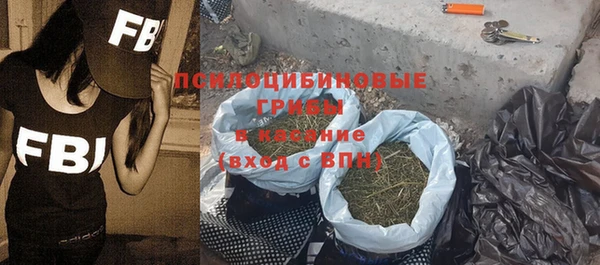 ГАЛЛЮЦИНОГЕННЫЕ ГРИБЫ Кинешма