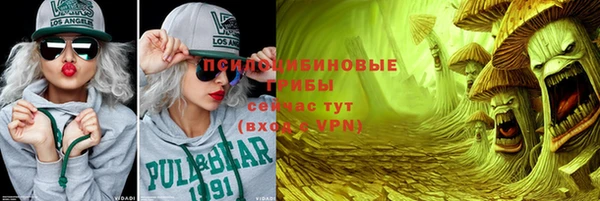 ГАЛЛЮЦИНОГЕННЫЕ ГРИБЫ Кинешма